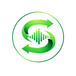 SetSync Logo